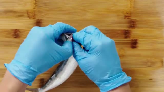 How to Fillet every Fish | Part 1