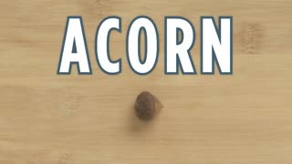 How to Crack Every Nuts | Part 2