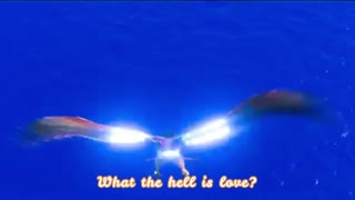 Mad at Disney X My Boo Lyrics