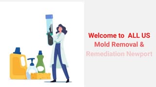 ALL US Mold Removal & Remediation in Newport News, VA