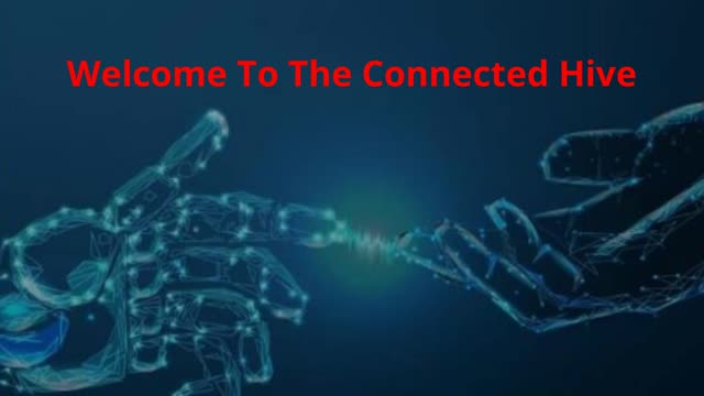 The Connected Hive : Best Consultant Call Center in Minneapolis MN