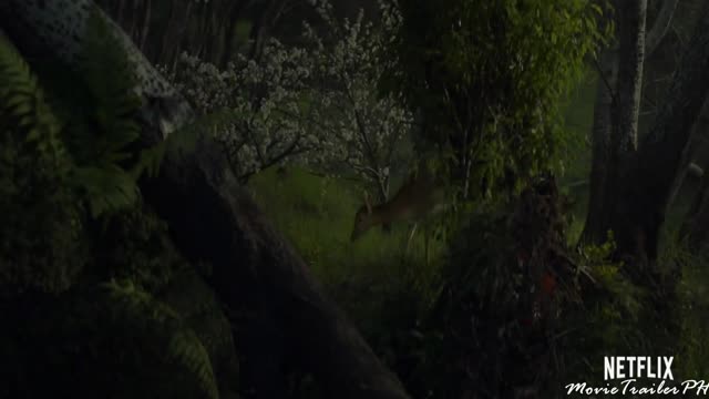 SWEET TOOTH Official Trailer (2021)