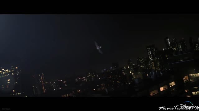 THE FALCON AND THE WINTER SOLDIER Captain