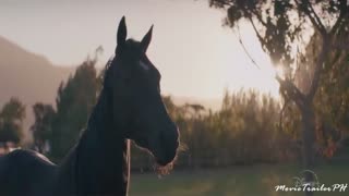 Black Beauty (2021) | Trailer