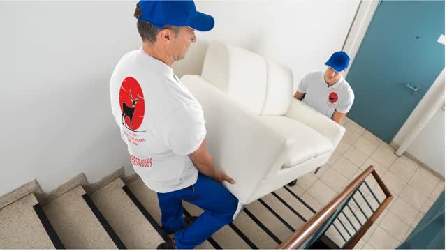 Trust Canadian Van Lines | Long Distance Moving Service in Brampton, ON