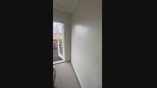 Auckland’s Expert Commercial Painters