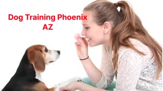 WizeDogs Labradors and Positive Dog Training Academy in Phoenix, AZ