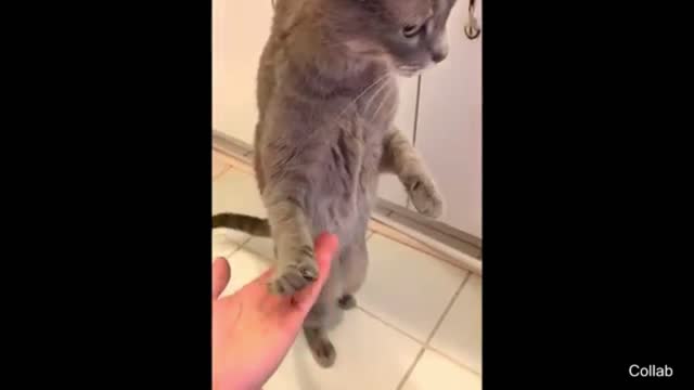 Water That's Been Trapped For Millions