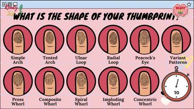 What is the shape of your THUMBPRINT?