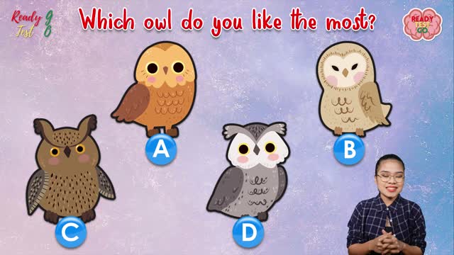 Which owl do you like the most?