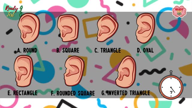 What is the shape of your ears?