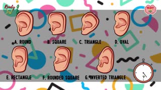 What is the shape of your ears?