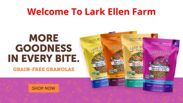Organic Sunflower Sprouting Seeds - Lark Ellen Farm