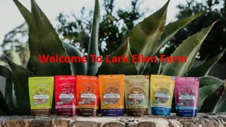 Lark Ellen Farm : Sprouted Nuts And Seeds  in Ojai, CA