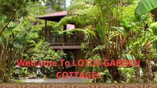 LOTUS GARDEN COTTAGES | Best Volcano Village Lodge in Hawaii