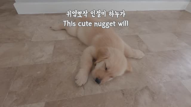 Beckham and Hanu greet you