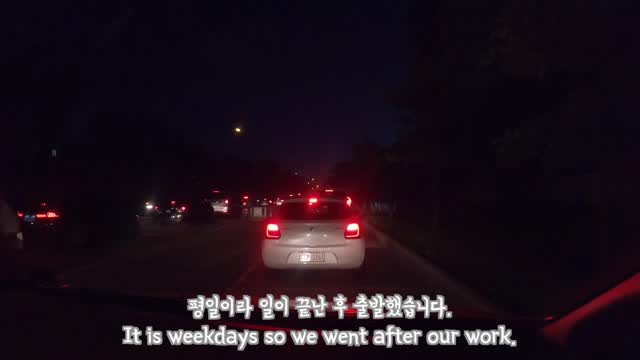 When I first met a baby Golden Retrirver...