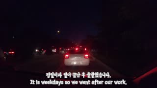 When I first met a baby Golden Retrirver...