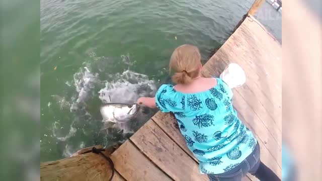 People Vs. Nature Fails Compilation