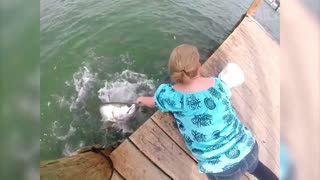 People Vs. Nature Fails Compilation