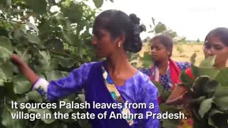 How Leaves Are Made Into Biodegradable Plates 