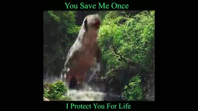 The Monster Save the Girl