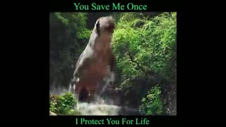 The Monster Save the Girl