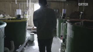 How an Eel Farm Grows and Smokes Eels for Top Sushi Restaurants