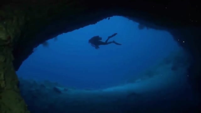 7 Mysterious Deep-Sea Creatures Spotted On Google Earth