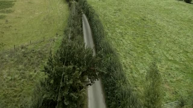 Help (2021) | Trailer