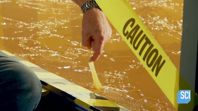 Catching a Human With a Giant Glue Trap 