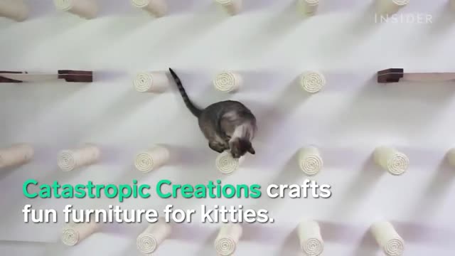 31 Pets Products for Animal Lovers