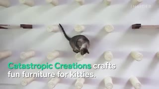 31 Pets Products for Animal Lovers