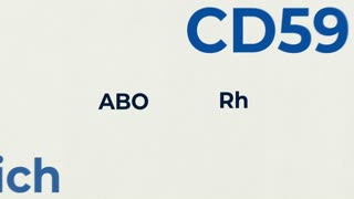 The World's Most Dangerous Blood Type