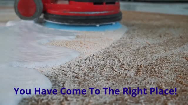 Maintenance Warriors - Commercial Carpet Cleaning in Houston, TX