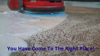 Maintenance Warriors - Commercial Carpet Cleaning in Houston, TX