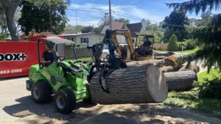 Vanderkooi Tree Removal in Muskegon, MI