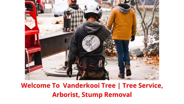 Vanderkooi Tree Cutting Service in Muskegon, MI
