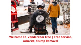 Vanderkooi Tree Cutting Service in Muskegon, MI