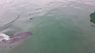 One in a Million Coincidences | Part 8