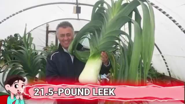15 Fruits and Vegetables ever grown | Part 1