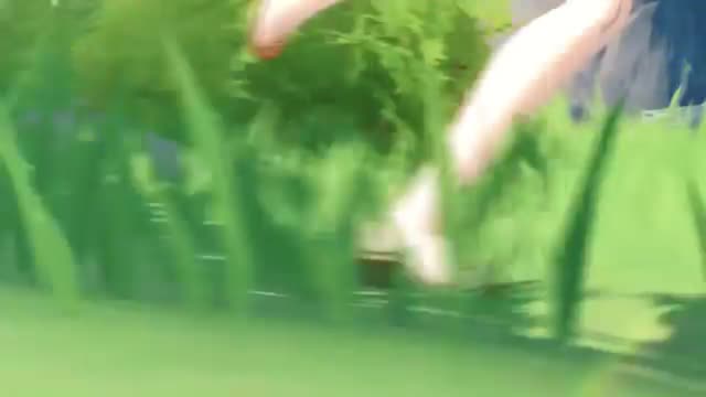 Genshin Impact - State of Play Gameplay Trailer | PS4