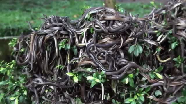 10 Forbidden Places in the world | Part 2