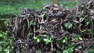 10 Forbidden Places in the world | Part 2