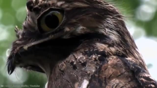 15 Most Mysterious Jungle | Part 1