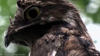 15 Most Mysterious Jungle | Part 1