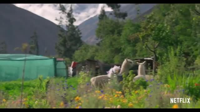 Waffles + Mochi | Official Trailer | Netflix