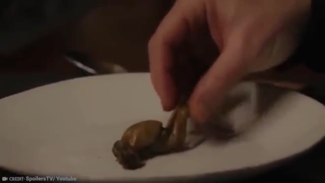 15 Foods not allowed to eat in US | Part 4