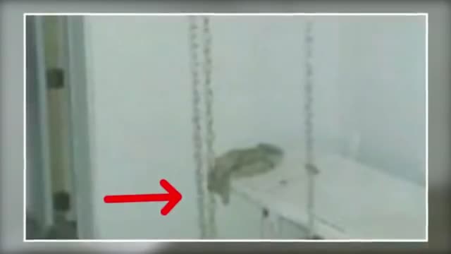 Creepiest Things Discovered By Urban Explorers