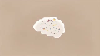 How stress affects your brain